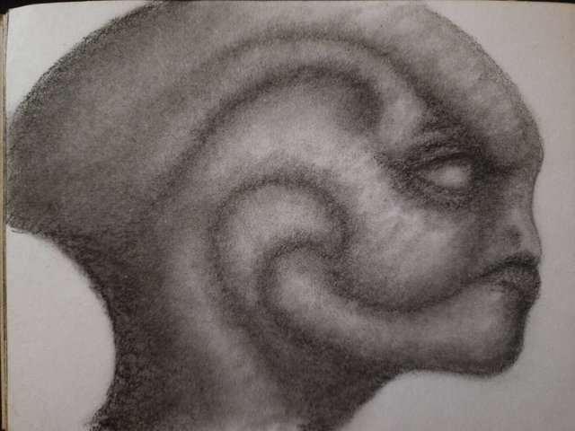 20250425_111747.jpg
