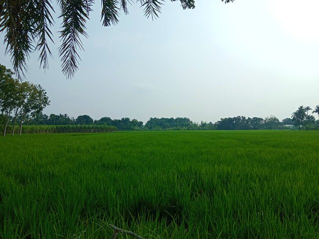 IMG_20250921_183553.jpg