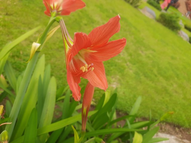 20250404_093022.jpg
