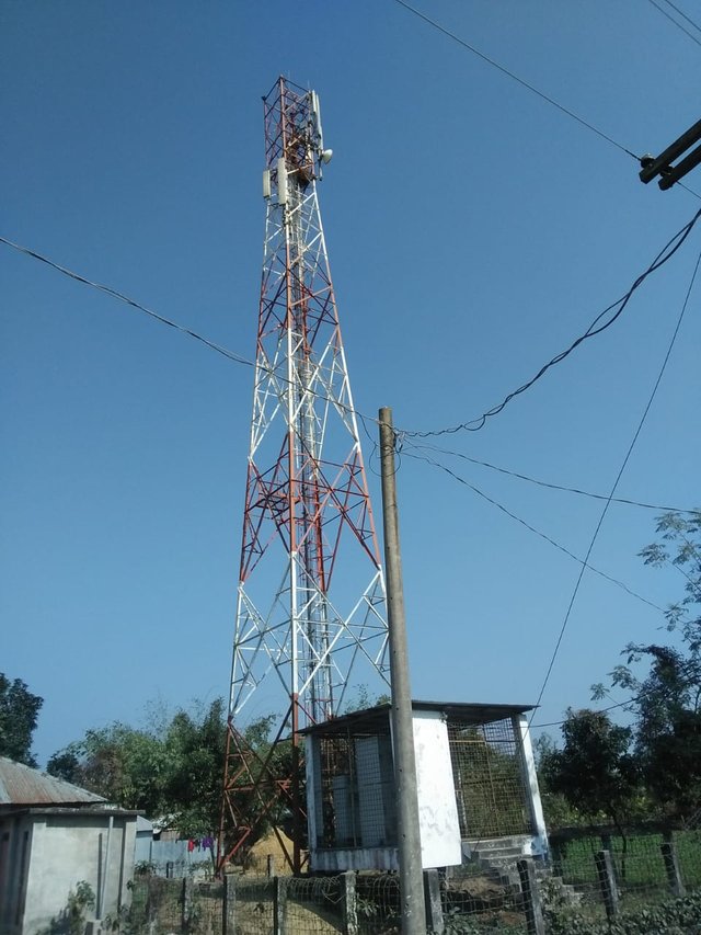 1000044040.jpg