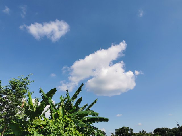 IMG_20240829_151623.jpg
