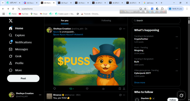 xp5.png