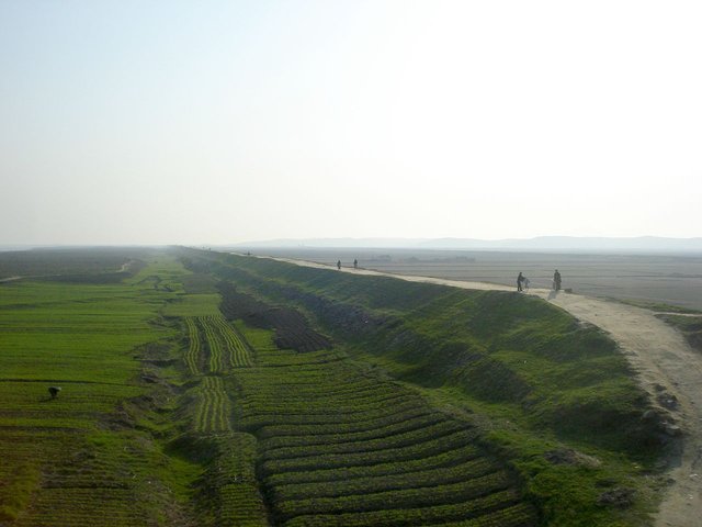 1280px-DPRK_rice.jpg