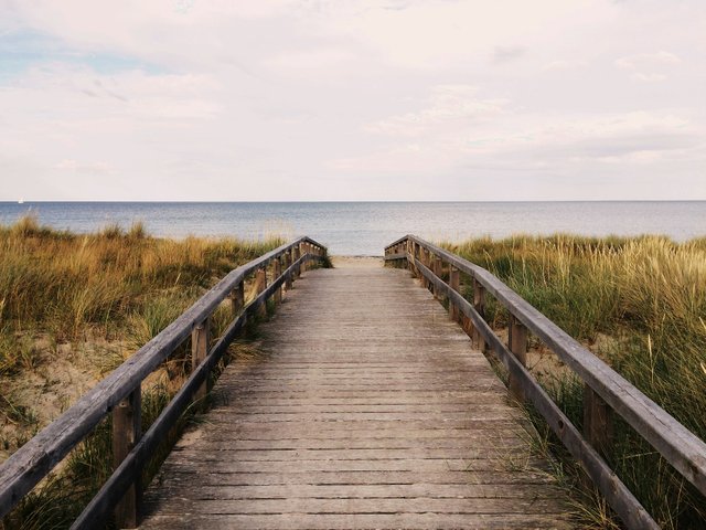 Anton Sharov, Dahme, Germany.jpeg