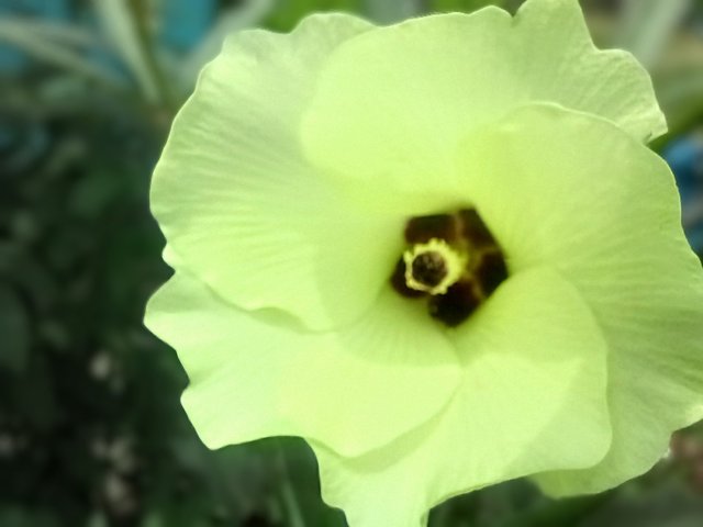 20250801_115118~2.jpg