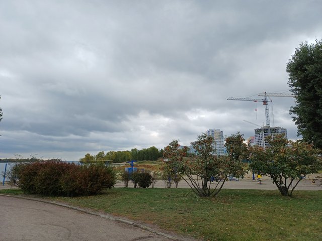 20251005_105610.jpg