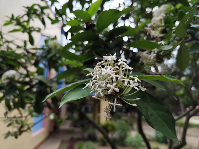 IMG_20250714_172843_1.jpg