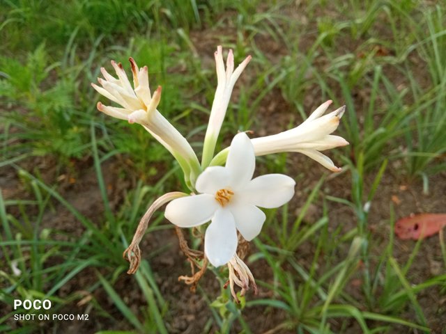 IMG_20250605_180246.