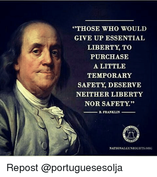 those-who-would-give-up-essential-liberty-to-purchase-a-13141843.png