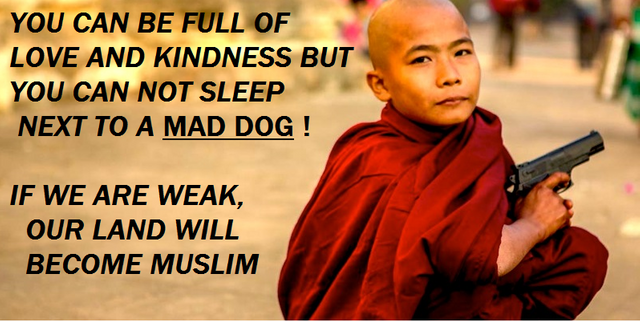 Image result for buddhist islam dog