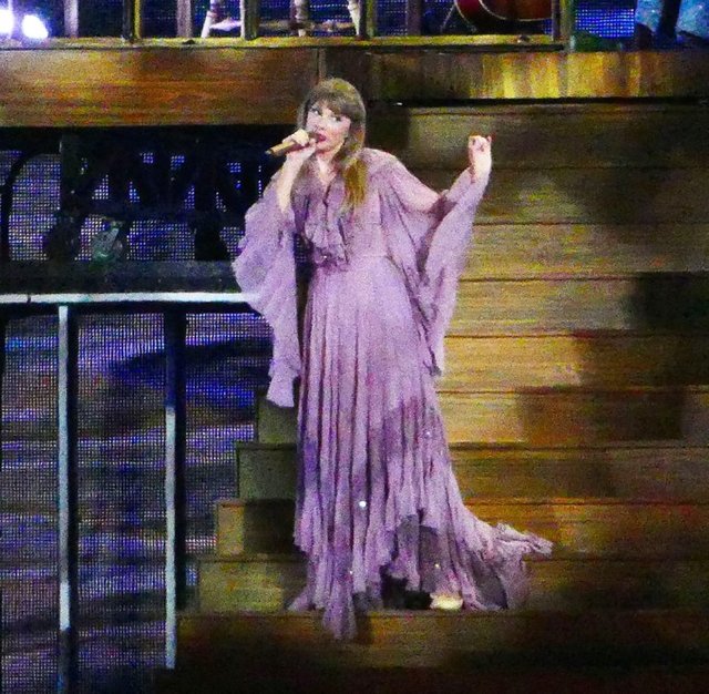 taylor-swift-eras-tour-mega-8.jpg