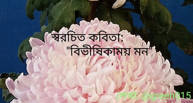 IMG_20251008_155243.jpg
