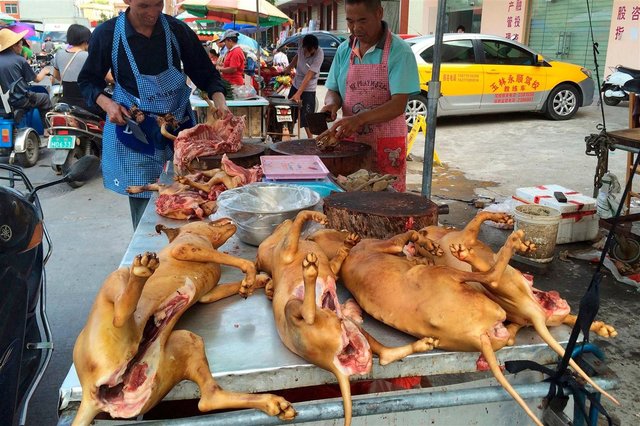 troceado-de-carne__1200x799.jpg