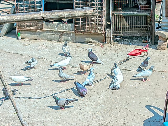 1000033734.jpg