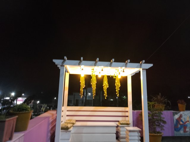 1000035050.jpg