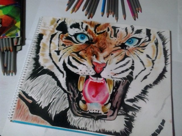 pantera tigris dibujo