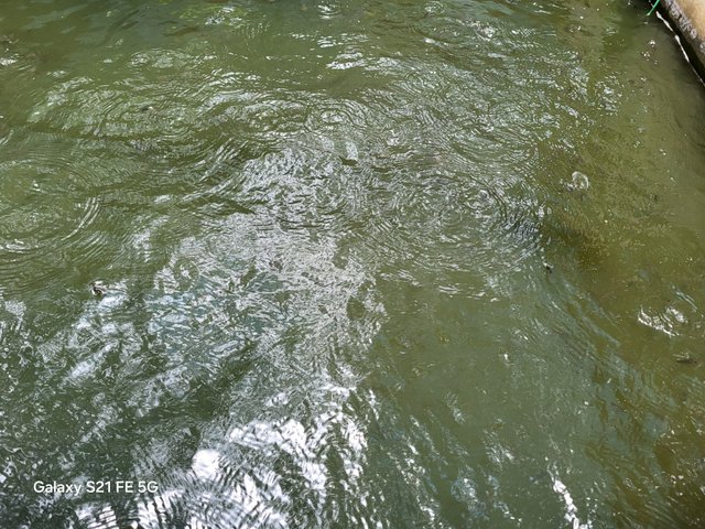 20250718_113401.jpg
