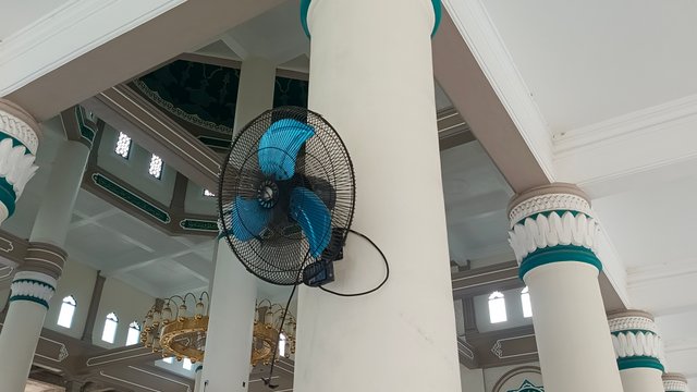 1000098095.jpg