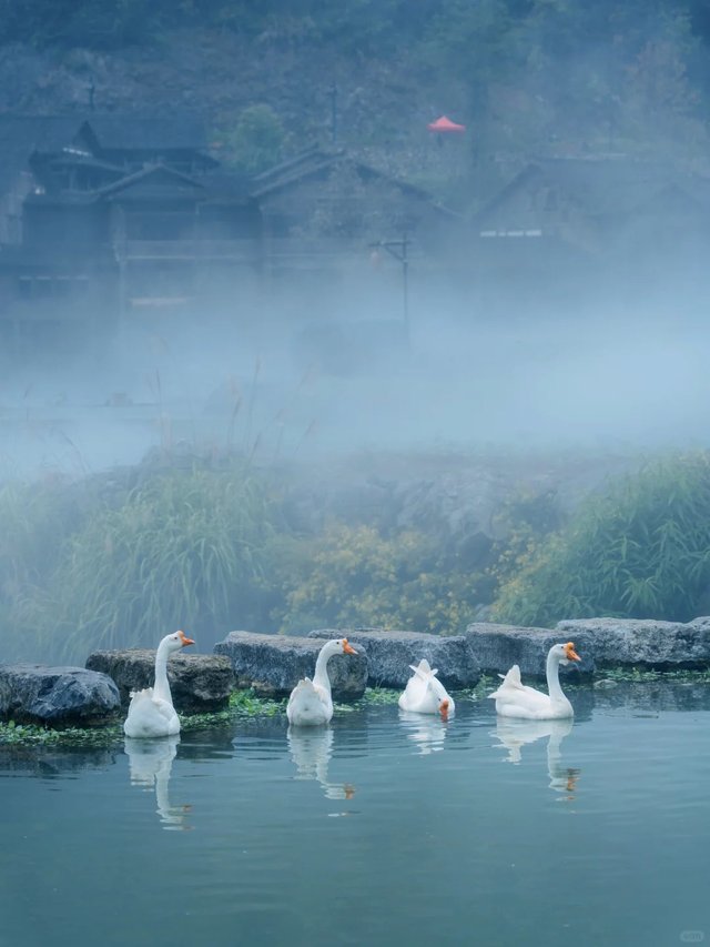 贵州人嘴真严！这么美的地方藏着不说😭_7_大白的旅行_来自小红书网页版.jpg