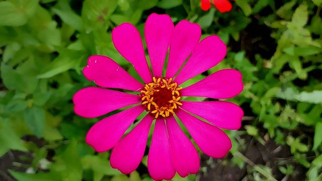 IMG_20250930_164057.jpg