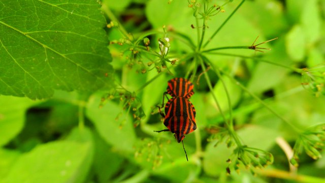 DSC04059.JPG