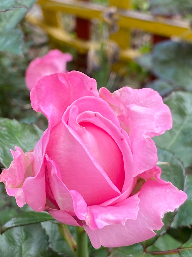 IMG7747.JPG