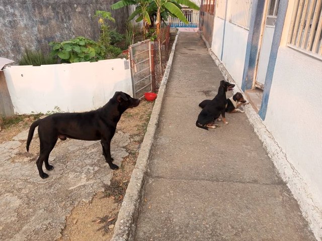 Imagen de WhatsApp 2025-03-27 a las 21.02.53_70266393.jpg