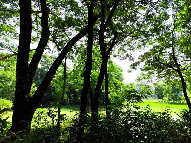 IMG_20250919_094012.jpg