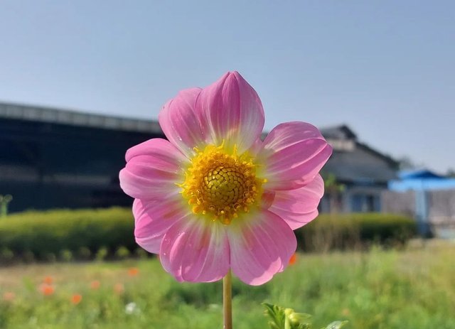 IMG_20230427_083947.jpg