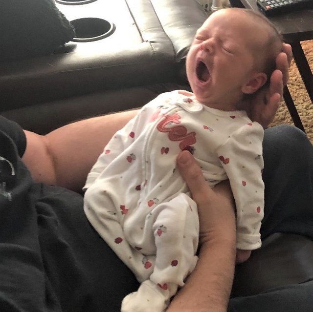 Willa yawns.jpg