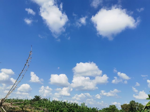 IMG_20240829_151909.jpg