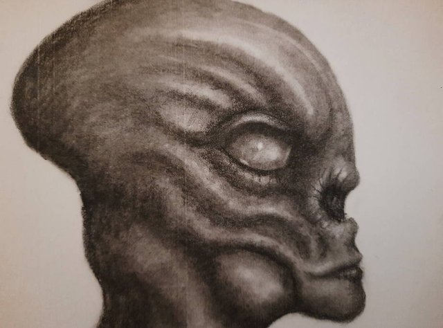 20250618_111406.jpg