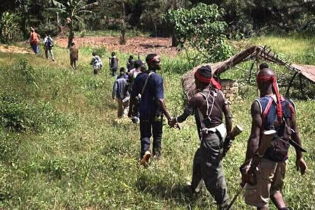 ambazonian-fighters-1.jpg