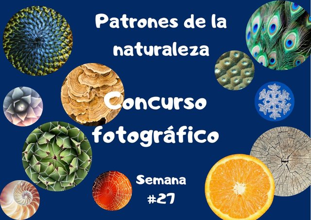 Concurso fotográfico (4).jpg