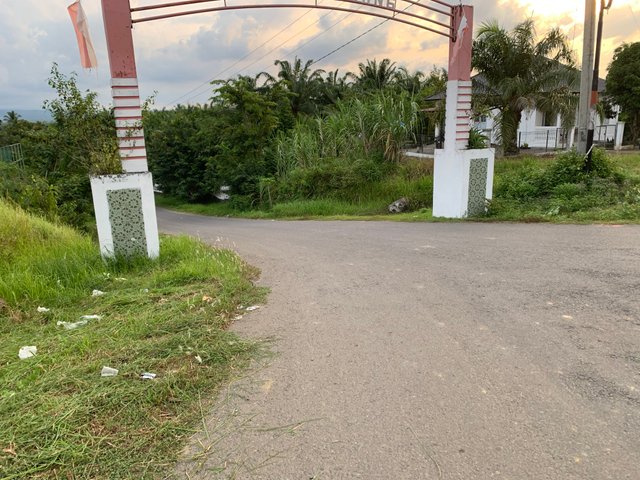 IMG_4019.jpeg