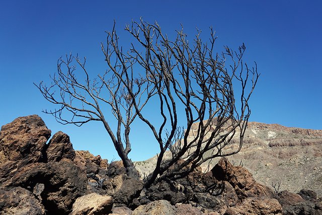 Mount_Teide_road_005_s.jpg