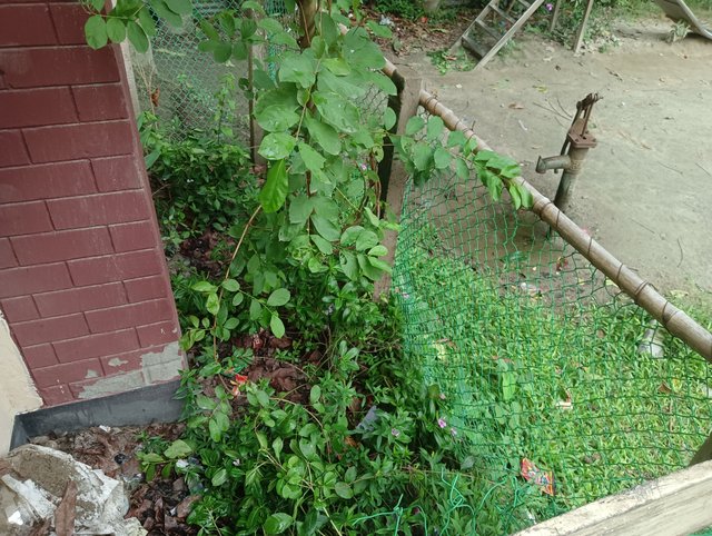 IMG20250602165730.jpg
