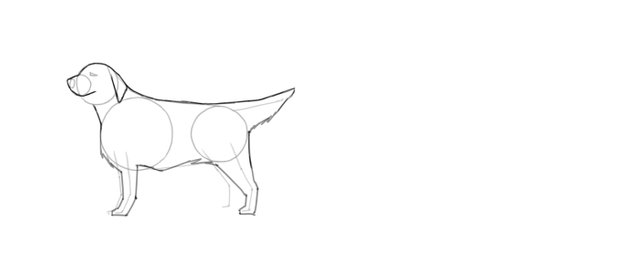 wacom-draw-how-to-draw-a-dog_part1_05f.jpg