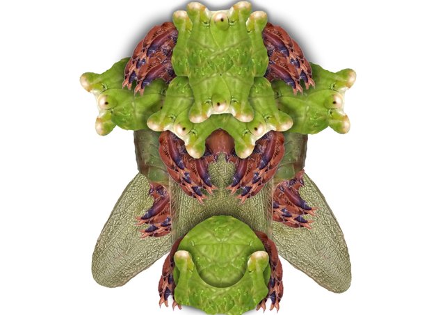 alien insect 2.jpg