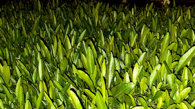 20250125_023331.jpg