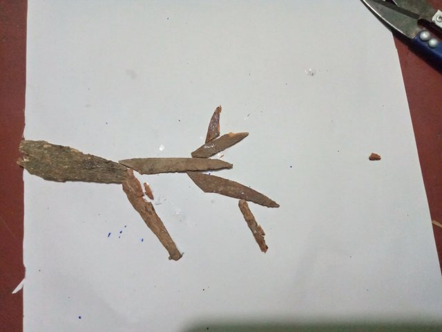 IMG20250814160244.jpg