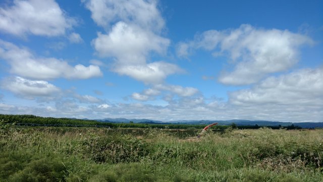 IMG_20190622_142339352.jpg
