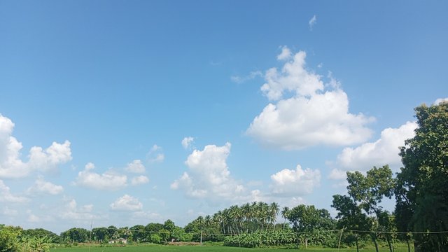 IMG_20240829_145821_0.jpg