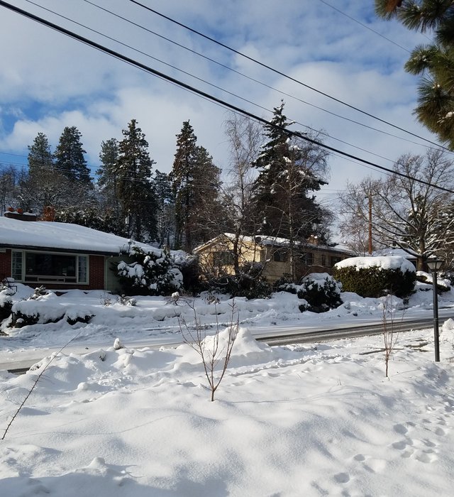 20190307_081718.jpg