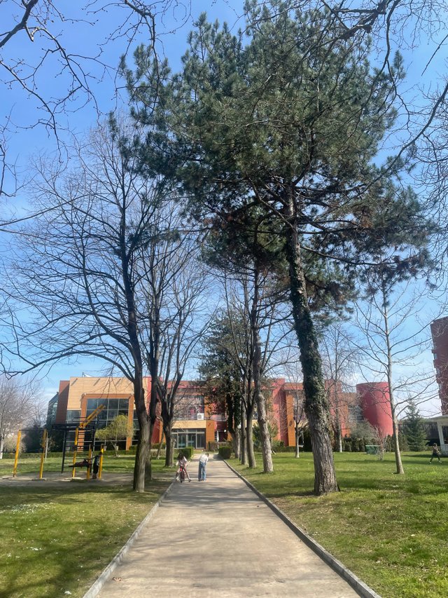 IMG_5244.jpeg
