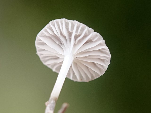 img_20250915_wa0089.jpg