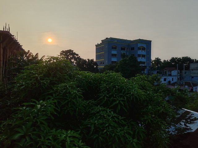1000063383.jpg