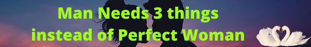 Man Needs 3 things instead of Perfect Woman.png