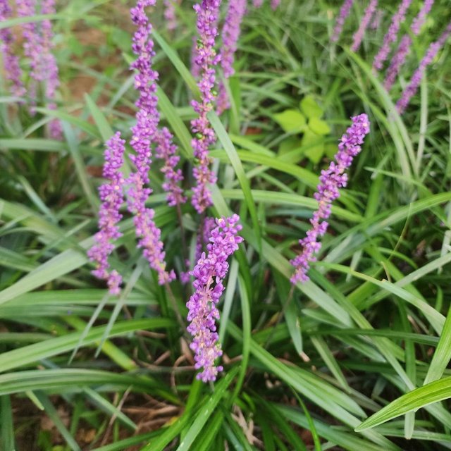 20250902_183745.jpg