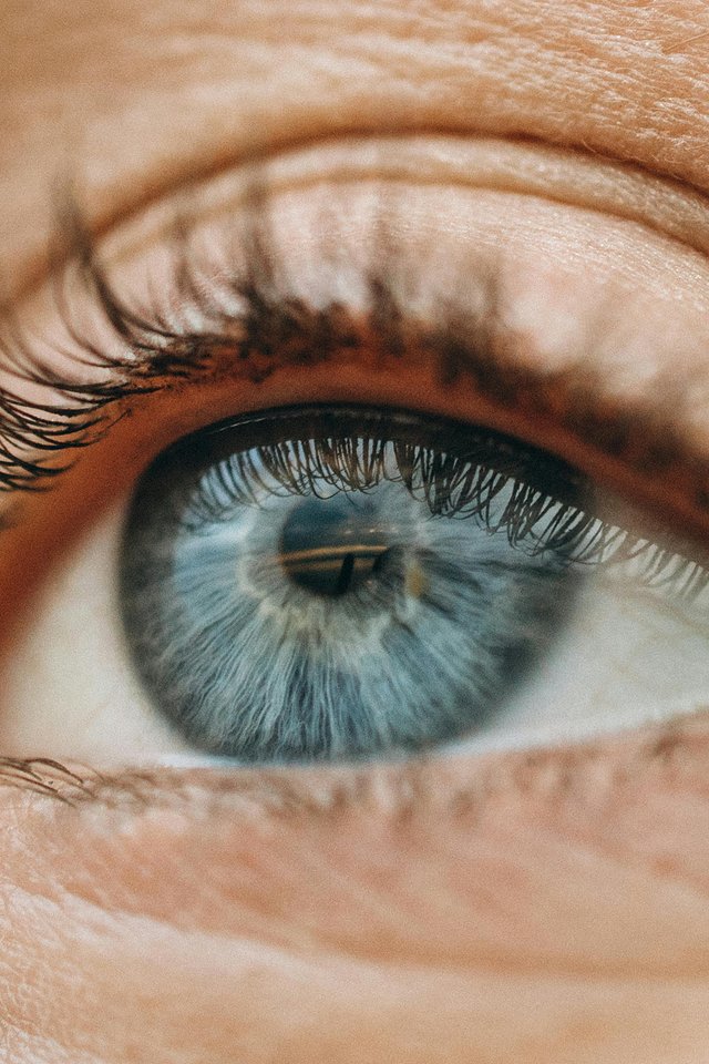 pexels-maksgelatin-9930771.jpg